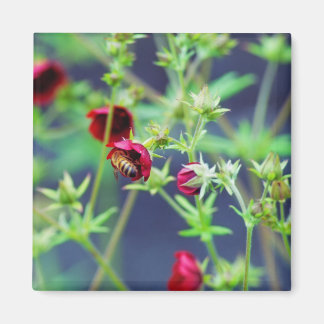 The Bee With the Red Flower Magnet