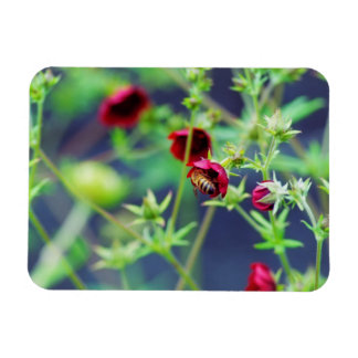 The Bee With the Red Flower Magnet