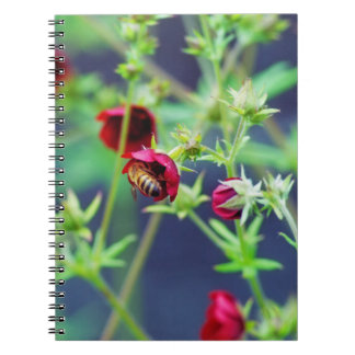 The Bee With the Red Flower Notebook