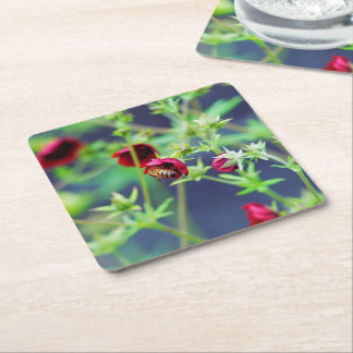 The Bee With the Red Flower Square Paper Coaster