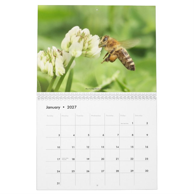 The Beekeepers Calendar 2013 (Jan 2027)