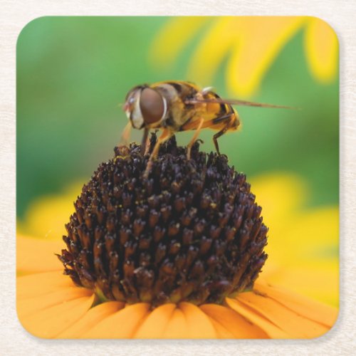 The Bees of Summer _ Daisy Coaster