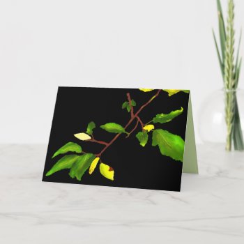 The Beginnings Of Change Note Card - Blank Inside by sfcount at Zazzle