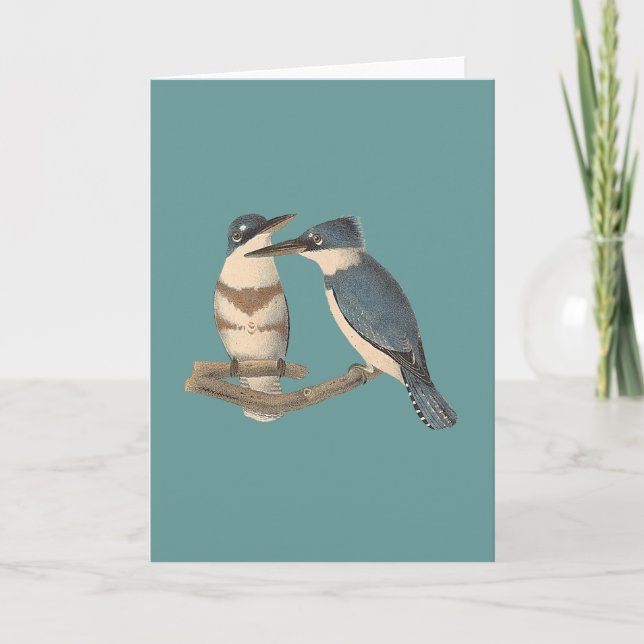 The Belted Kingfisher (Alava alcyon) NY Birds Card (Front)