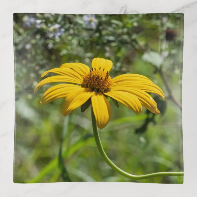 The Bend Floral Trinket Tray (Front)