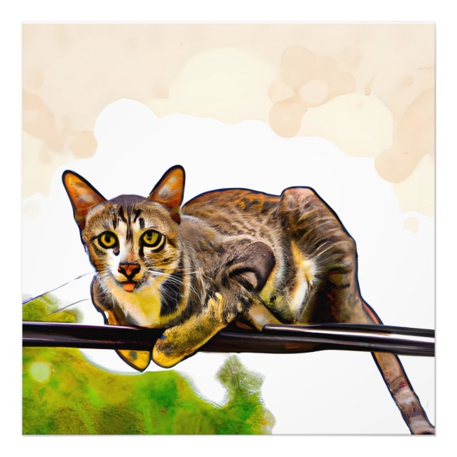 The bengal cat photo print (Front)