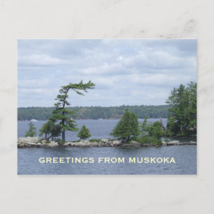 The Bent Tree, Muskoka, Ontario, Canada Postcard