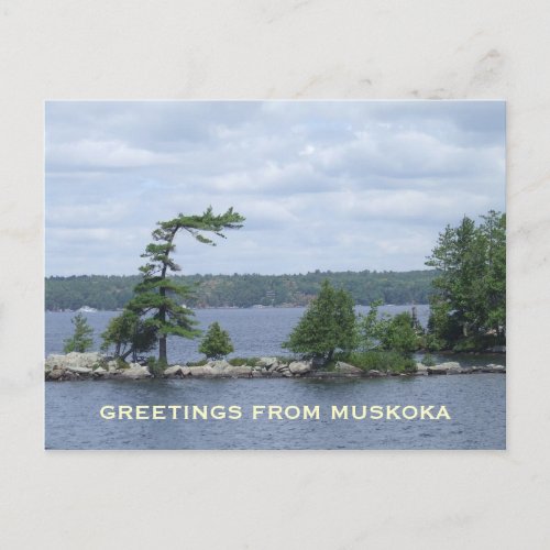 The Bent Tree Muskoka Ontario Canada Postcard