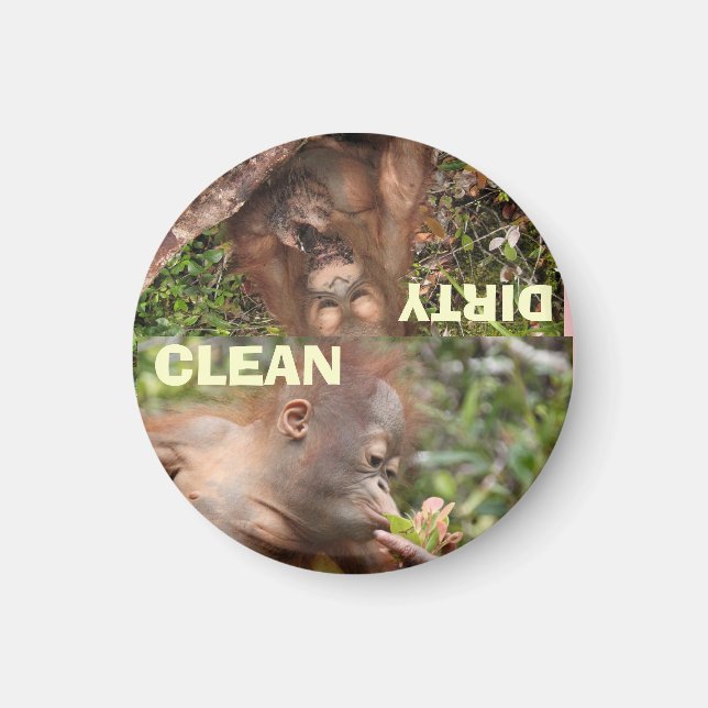 The Best Clean and Dirty Dishes Magnet (Front)