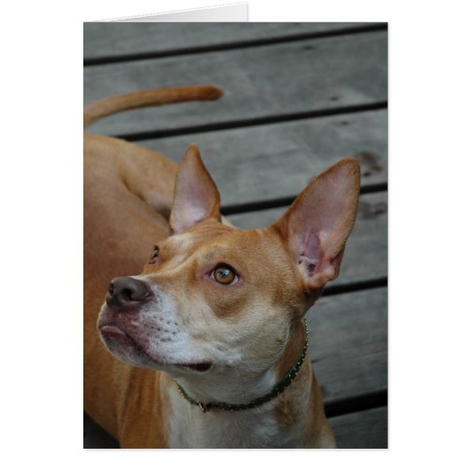 The Best in Man (Front)