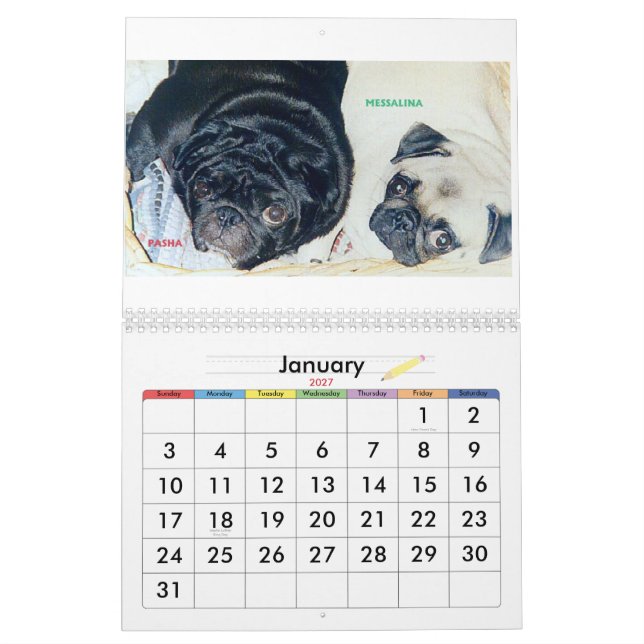 THE BEST PUGS IN THE WORLD CALENDAR (Jan 2027)