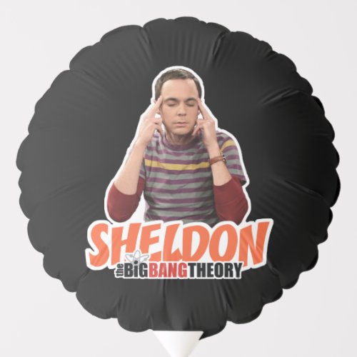 The Big Bang Theory  Sheldon Balloon