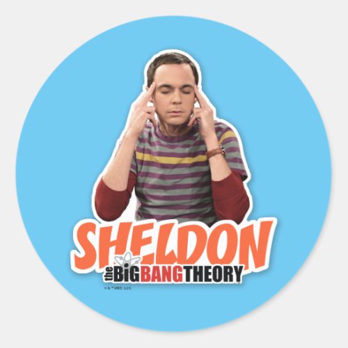The Big Bang Theory  Sheldon Classic Round Sticker