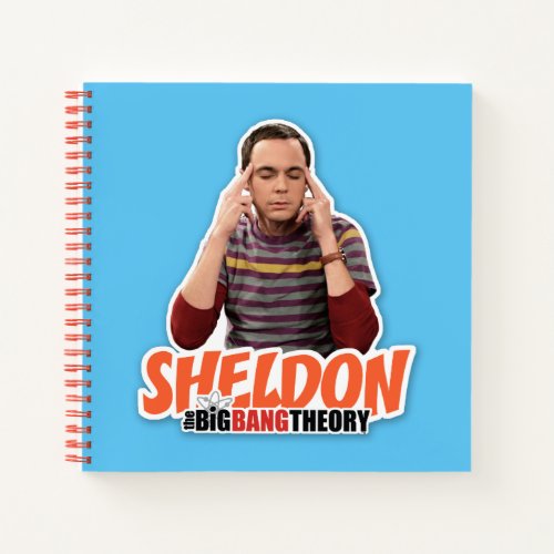 The Big Bang Theory  Sheldon Notebook