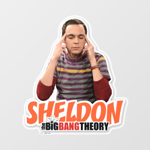The Big Bang Theory Sheldon Wall Decal