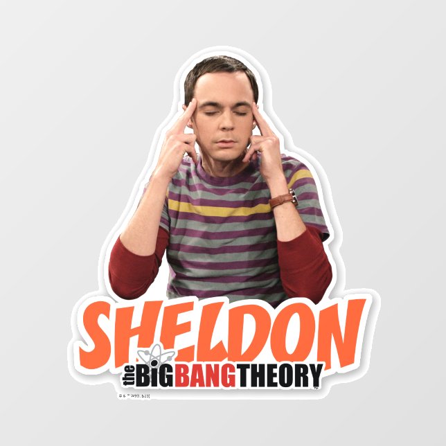 The Big Bang Theory | Sheldon Wall Decal (Front)
