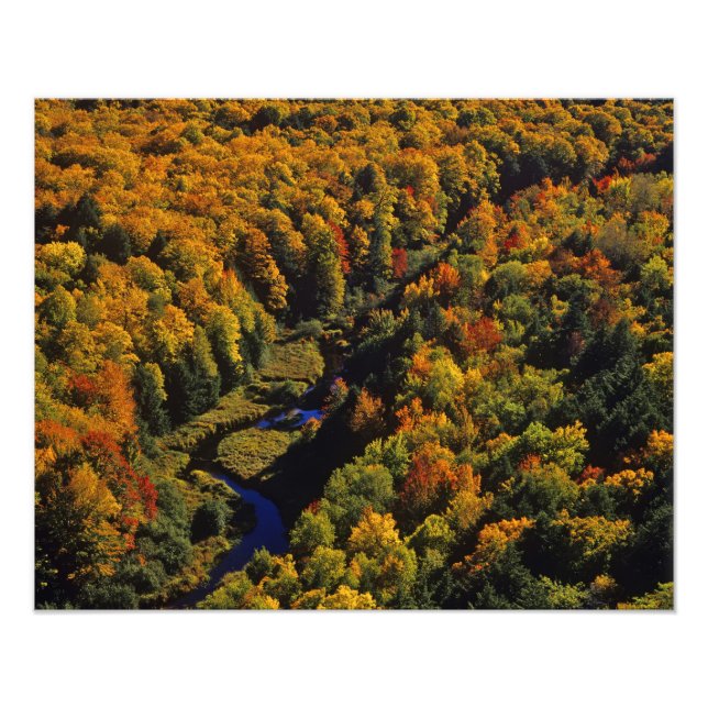The Big Carp River in autumn at Porcupine Photo Print (Front)
