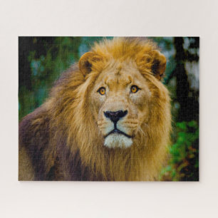 The Big Cats Lions. Jigsaw Puzzle