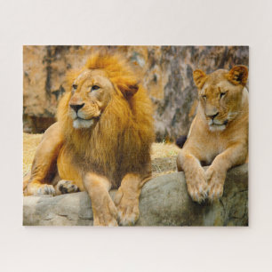 The Big Cats Lions. Jigsaw Puzzle