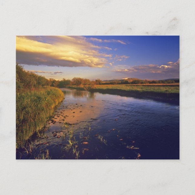 The Big Hole River at last light near Jackson Postcard (Front)