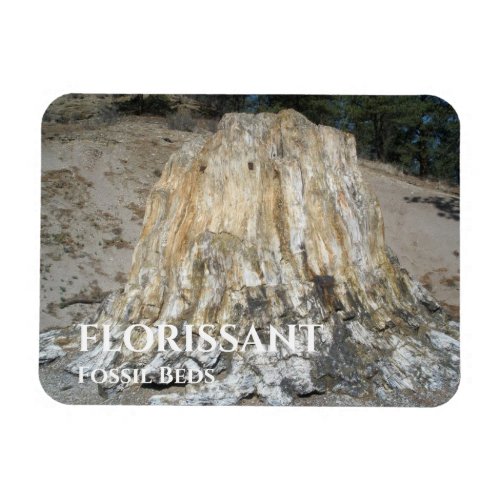 The Big Stump Florissant Fossil Beds Magnet