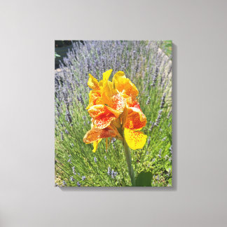 The big yellow. canvas print
