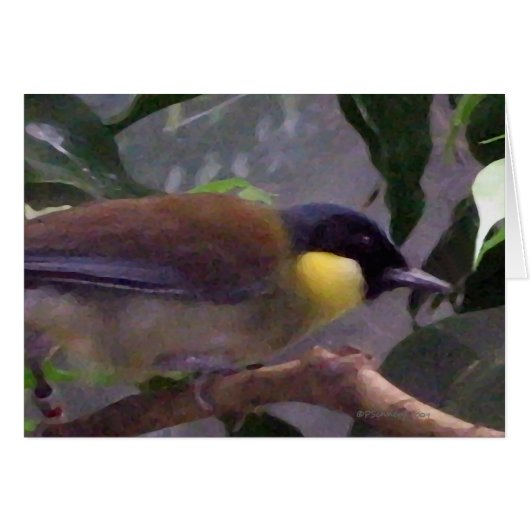 The Bird (Front Horizontal)