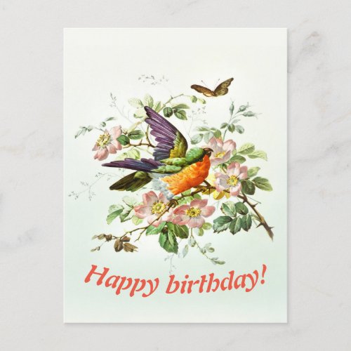 The bird and the butterfly Birthday Postcard