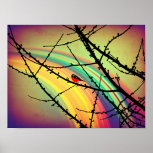 The bird and the rainbow poster