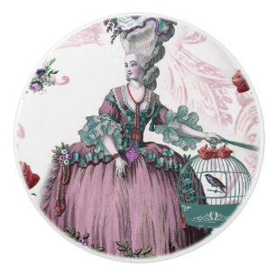 The Bird Cage Marie Antionette French inspired Ceramic Knob