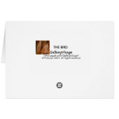 The Bird Cards (Back Horizontal)