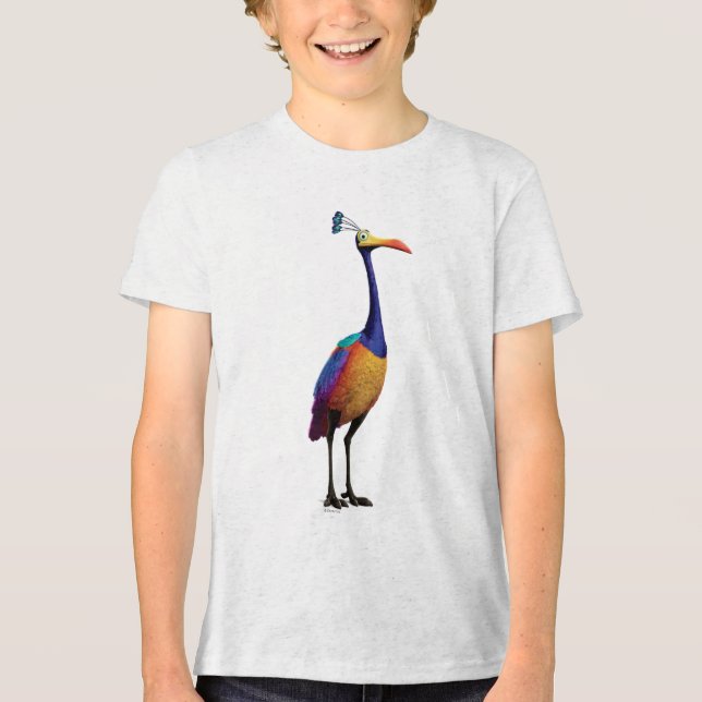 The Bird from the Disney Pixar UP Movie (Kevin) Tri-Blend Shirt (Front)