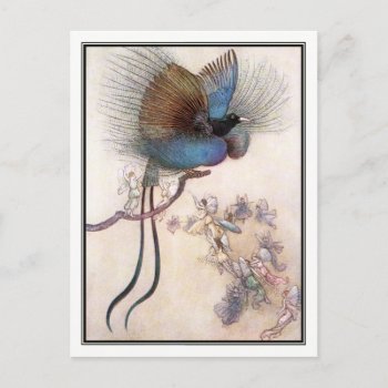 The Bird Of Paradise By Warwick Goble Postcard by vintage_illustration at Zazzle