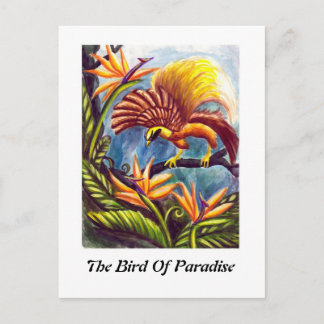 The Bird of Paradise Postcard
