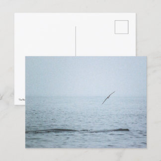 The Bird that Woke the Whales Invitation Postcard
