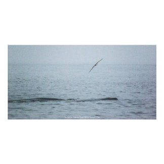 The Bird that Woke the Whales Poster