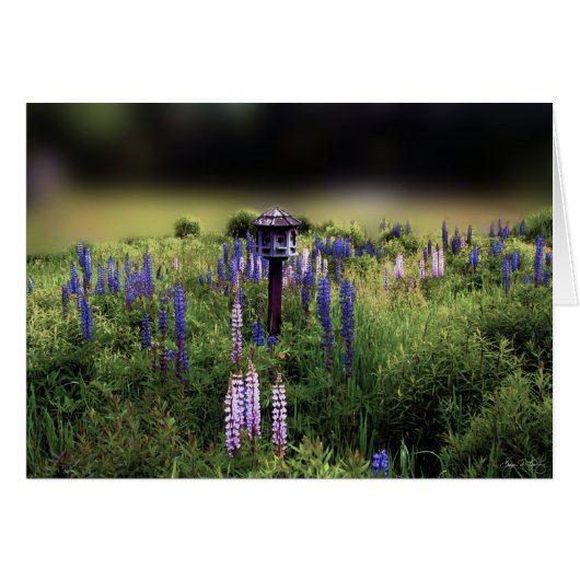 The Birdhouse and Lupines (Front Horizontal)