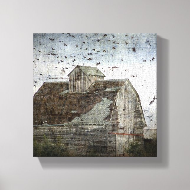The Birds and the Barn Canvas Print (Front)