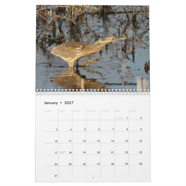 The Birds of Forsythe II Calendar (Jan 2027)