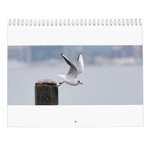 The birds of the lake calendar