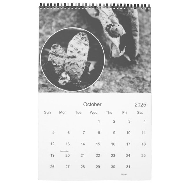 the Black and White Calendar*2104 Calendar | Zazzle