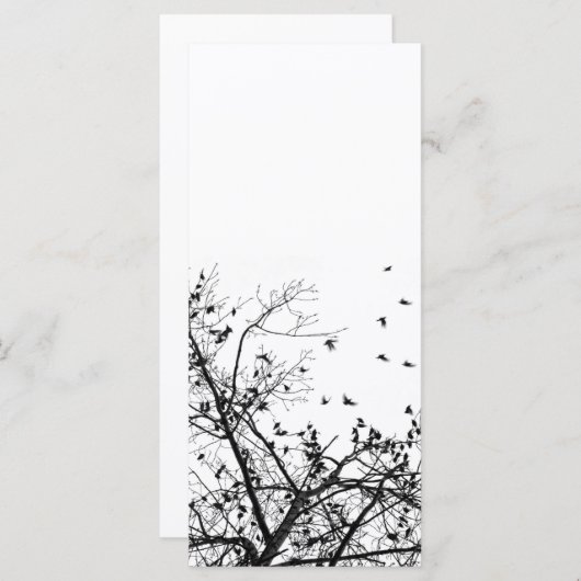 the black birds (Front/Back)