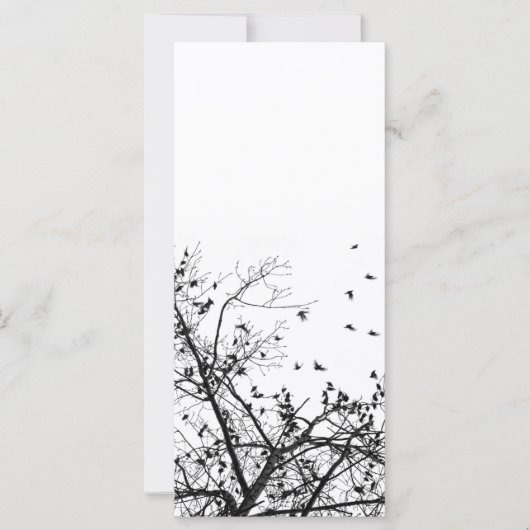 the black birds (Front)