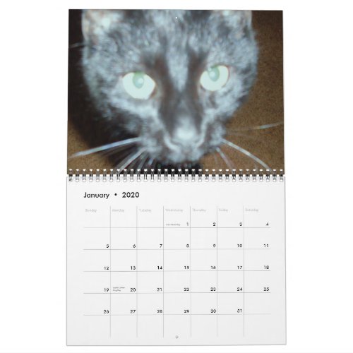 THE BLACK CAT calendar