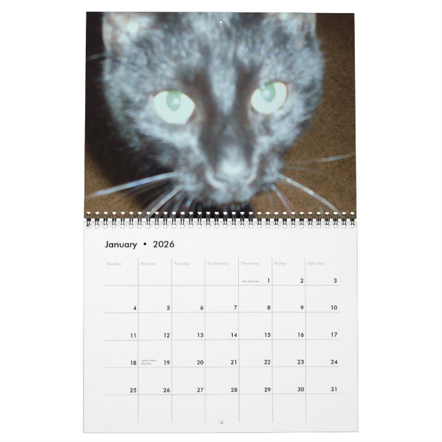 THE BLACK CAT calendar (Jan 2026)
