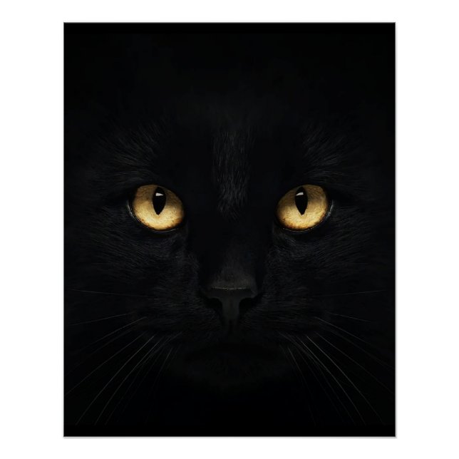 The Black Cat Glossy Poster (Front)