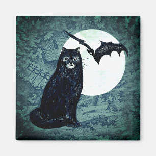 The black cat magnet