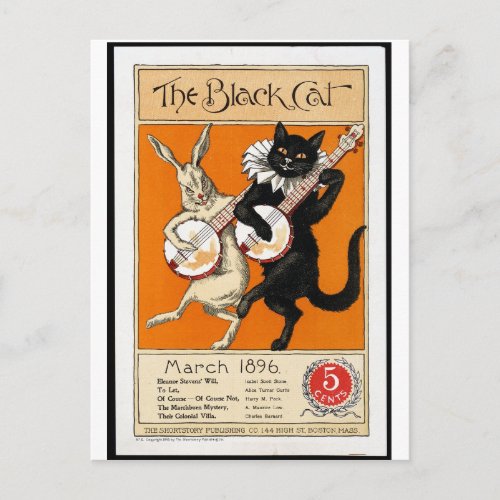 The black cat postcard