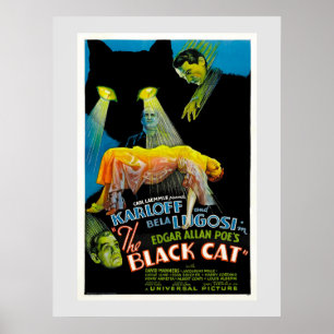 The Black Cat (vintage movie poster) Poster
