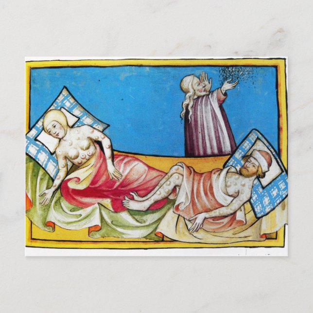 The Black Death from the Toggenburg Bible 1411 Postcard (Front)